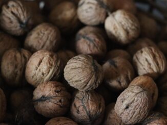 découvrez l'univers des super-aliments, ces puissants ingrédients nutritifs qui boostent votre santé et améliorent votre bien-être. apprenez à intégrer ces superfoods dans votre alimentation quotidienne pour un mode de vie sain et énergisant.