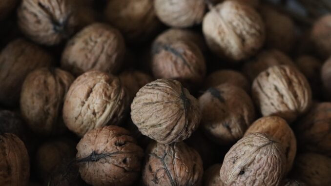 découvrez l'univers des super-aliments, ces puissants ingrédients nutritifs qui boostent votre santé et améliorent votre bien-être. apprenez à intégrer ces superfoods dans votre alimentation quotidienne pour un mode de vie sain et énergisant.