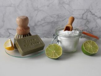 découvrez notre guide complet sur le mode de vie sans plastique. apprenez à réduire votre empreinte écologique avec des astuces pratiques et des alternatives durables pour un quotidien respectueux de l'environnement.