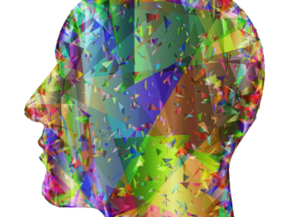 découvrez l'impact fascinant de la psychologie des couleurs sur nos émotions et comportements. apprenez comment les différentes teintes influencent notre perception et nos choix au quotidien, que ce soit en marketing, en design ou dans la vie personnelle.