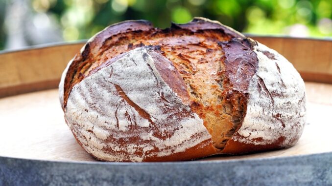 découvrez le savoir-faire exceptionnel des artisans, véritables maîtres dans leur domaine, qui transforment des matériaux bruts en créations uniques. explorez leur passion, leur expertise et l'authenticité de leurs réalisations qui ajoutent une touche personnelle à chaque projet.