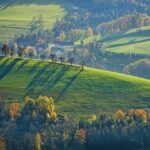 découvrez des villages oubliés, chargés d'histoire et de charme, où le temps semble s'être arrêté. explorez des paysages pittoresques, des ruelles tranquilles et des traditions ancestrales préservées, loin du tumulte des villes modernes.