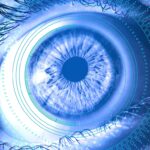 découvrez les tendances et innovations qui définiront l'avenir d'internet. explorez comment la technologie, la sécurité et l'expérience utilisateur évolueront pour façonner notre monde connecté.