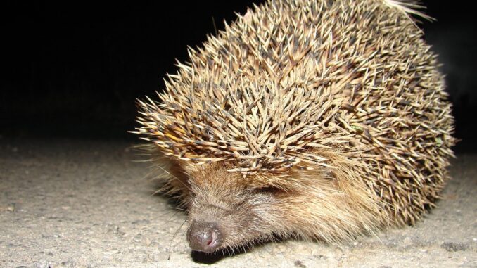 découvrez comment le guest posting peut améliorer votre visibilité en ligne et renforcer votre autorité dans votre domaine. apprenez les meilleures pratiques pour rédiger des articles invités percutants et tirer parti des opportunités de collaboration avec d'autres blogueurs et sites web.