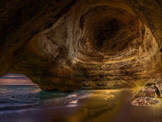 découvrez les trésors cachés qui s'épanouissent dans l'ombre. explorez des joyaux méconnus, des lieux uniques et des expériences inoubliables qui n'attendent que vous. plongez dans l'aventure et révélez des merveilles insoupçonnées à chaque coin de rue.