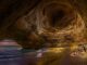 découvrez les trésors cachés qui s'épanouissent dans l'ombre. explorez des joyaux méconnus, des lieux uniques et des expériences inoubliables qui n'attendent que vous. plongez dans l'aventure et révélez des merveilles insoupçonnées à chaque coin de rue.