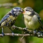 découvrez des conseils pratiques et des astuces sur le parenting pour élever des enfants heureux et épanouis. explorez des sujets variés allant de la discipline à l'alimentation, en passant par la communication familiale.