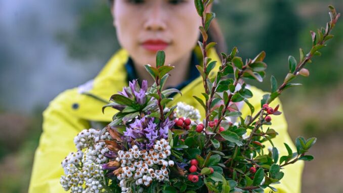 Coaching internet pour thérapeutes, psychologues et praticiens du bien-être : développer sa présence en ligne avec méthode et impact